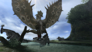 Illustration for article titled Here's What Monster Hunter Tri Looks Like